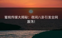 蜜桃传媒大揭秘：夜间八卦引发全网震荡！