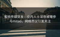 蜜桃传媒突发：业内人士深夜被曝参与mitao，网络热议引发关注