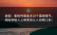 速报：蜜桃传媒盘点10个震撼细节，揭秘神秘人上榜原因让人目瞪口呆！