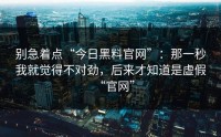 别急着点“今日黑料官网”：那一秒我就觉得不对劲，后来才知道是虚假“官网”