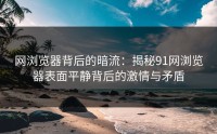 网浏览器背后的暗流：揭秘91网浏览器表面平静背后的激情与矛盾