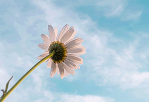 今天爆了：蘑菇频道旅行碎片，完整复盘终于来了｜我真的服了